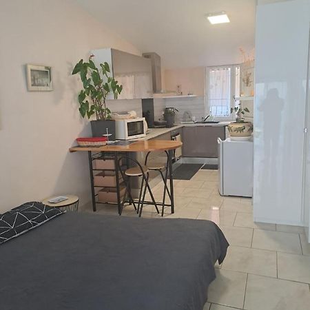 Apartamento Chez Sabine Et Pascal Meyzieu Exterior foto